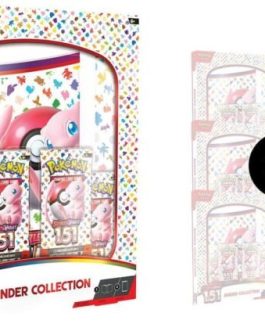 151 Binder Collection Case